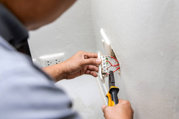 Best Electric Panel Repair  in Cresco, IA